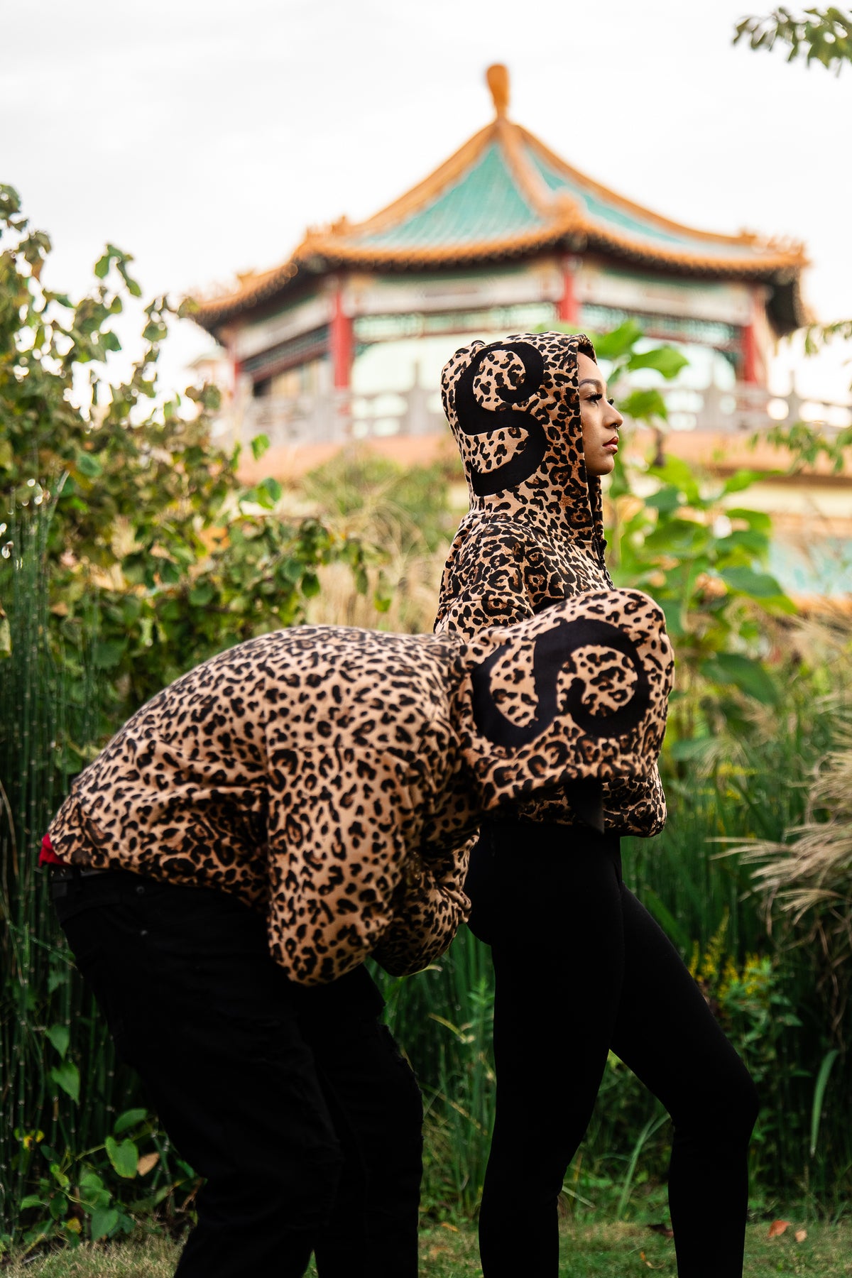 SADIAH "Cheetah"